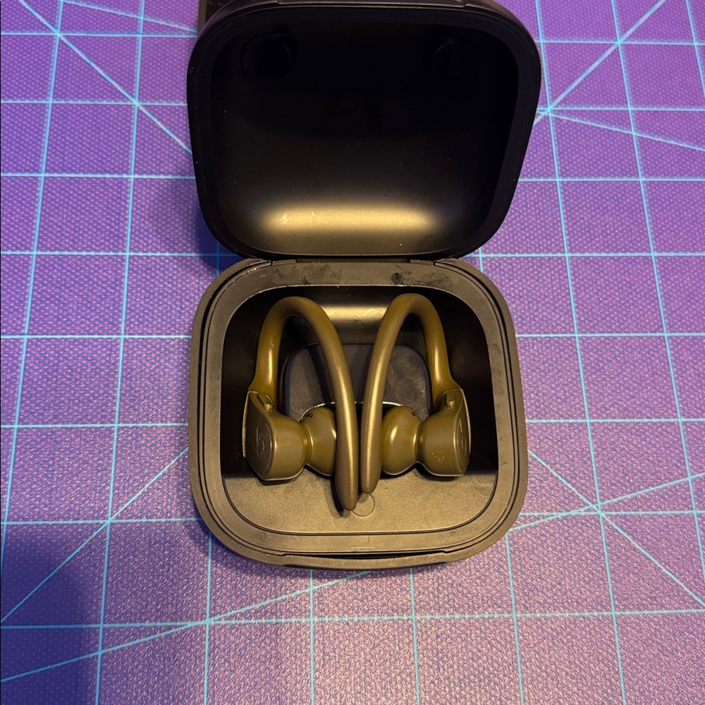 Beats by Dre Powerbeats Pro Totally Wireless Earphones - Moss - Picture 8 of 10